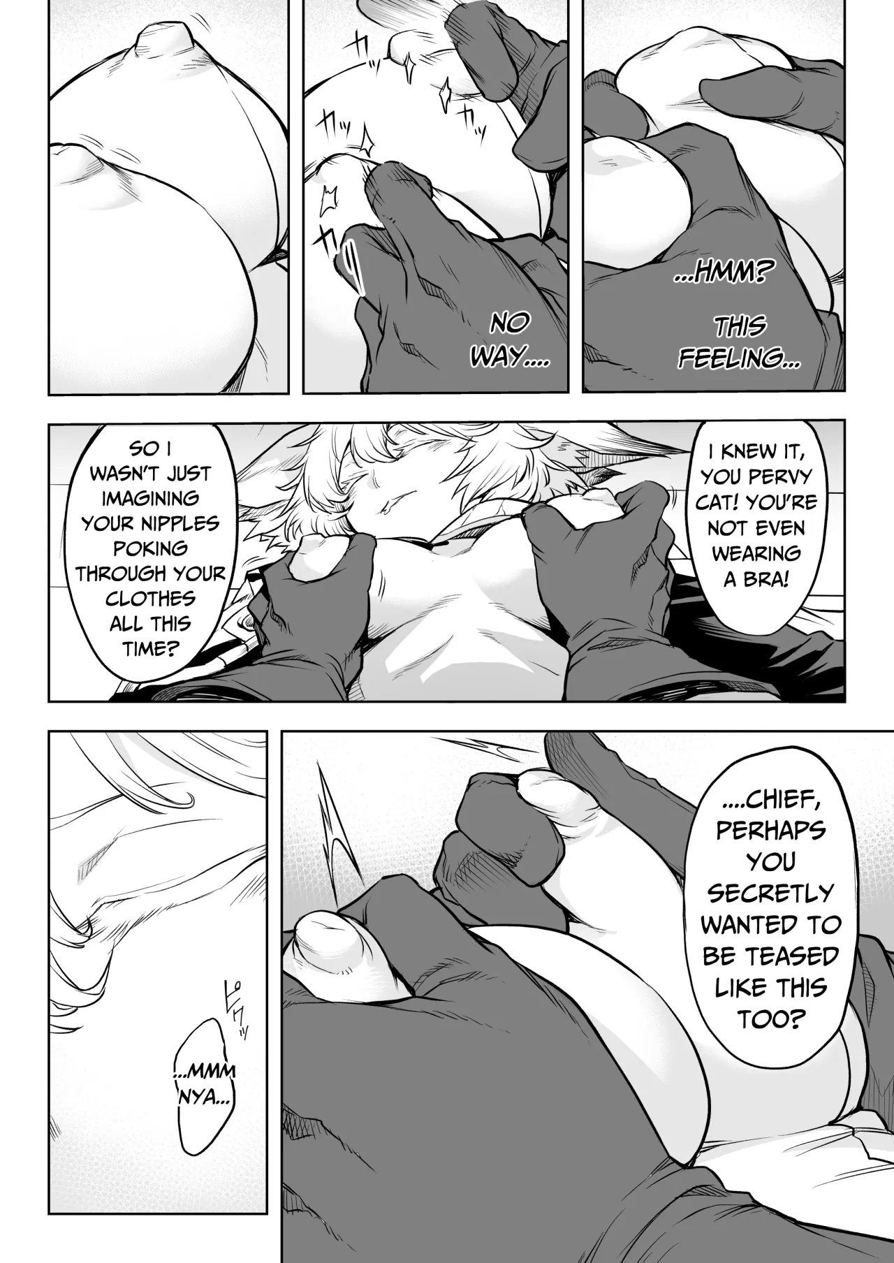 The Chief's Job? 4