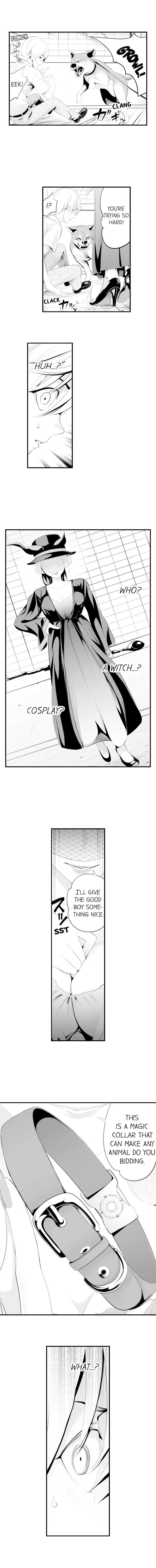 The Collar of Submission 4