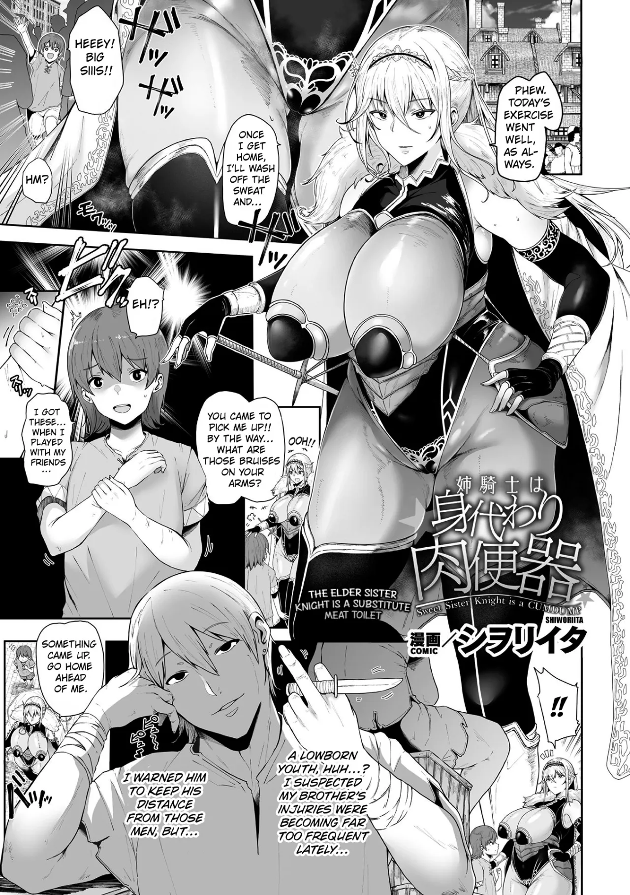 The Elder Sister Knight is a Substitute Meat Toilet 1