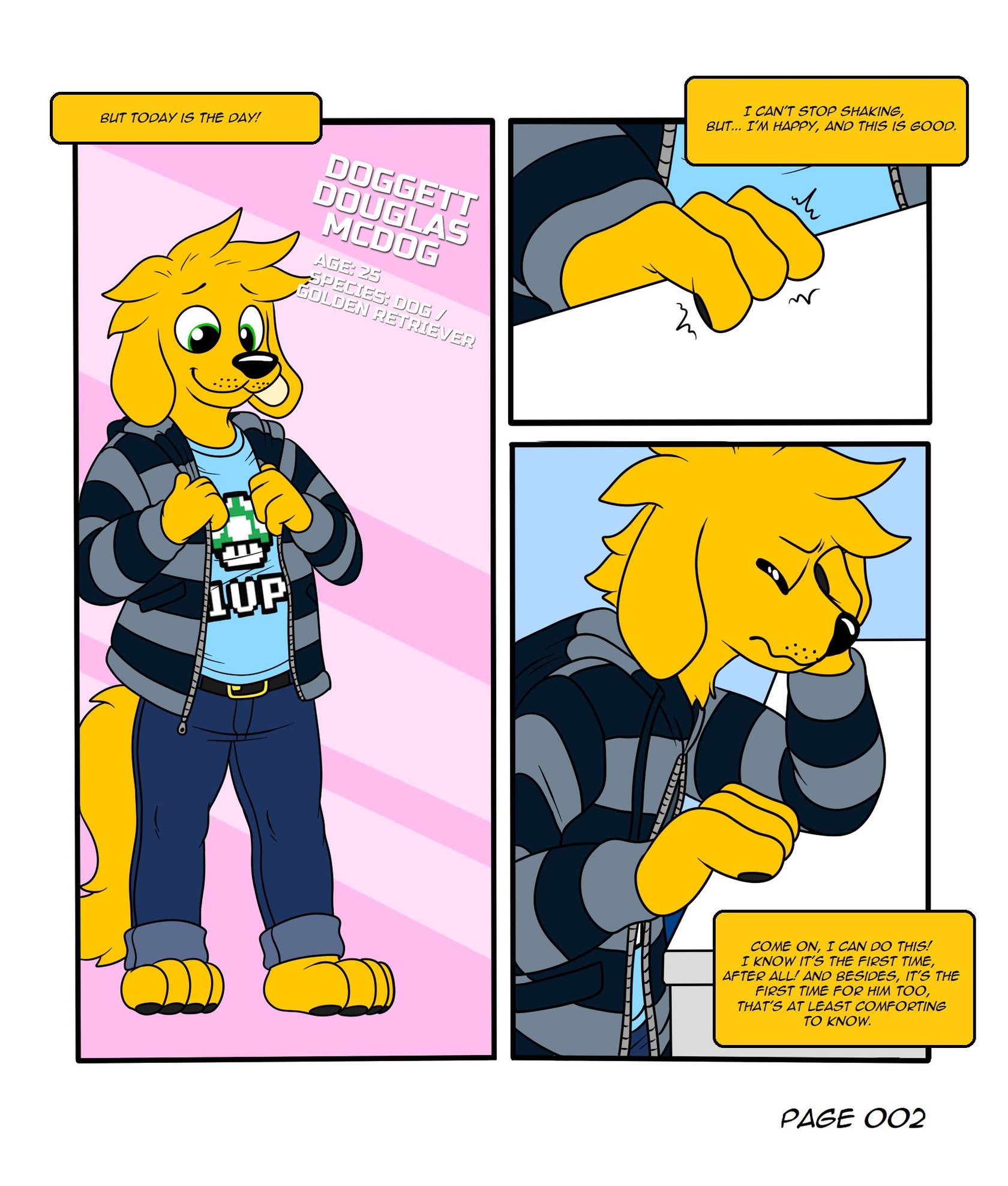The First Experience (Ongoing) 3