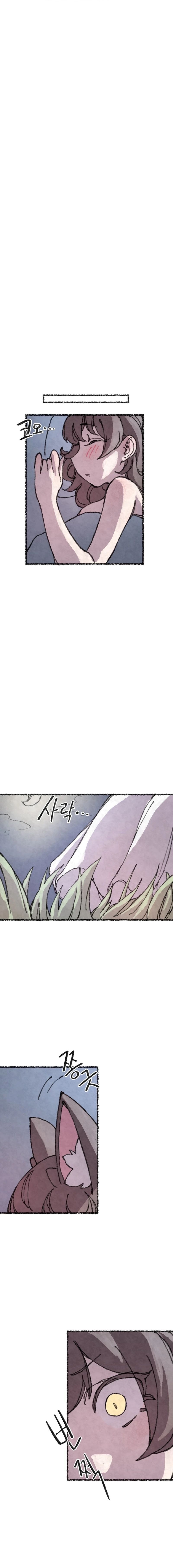 The Fox who Stole my Heart 15