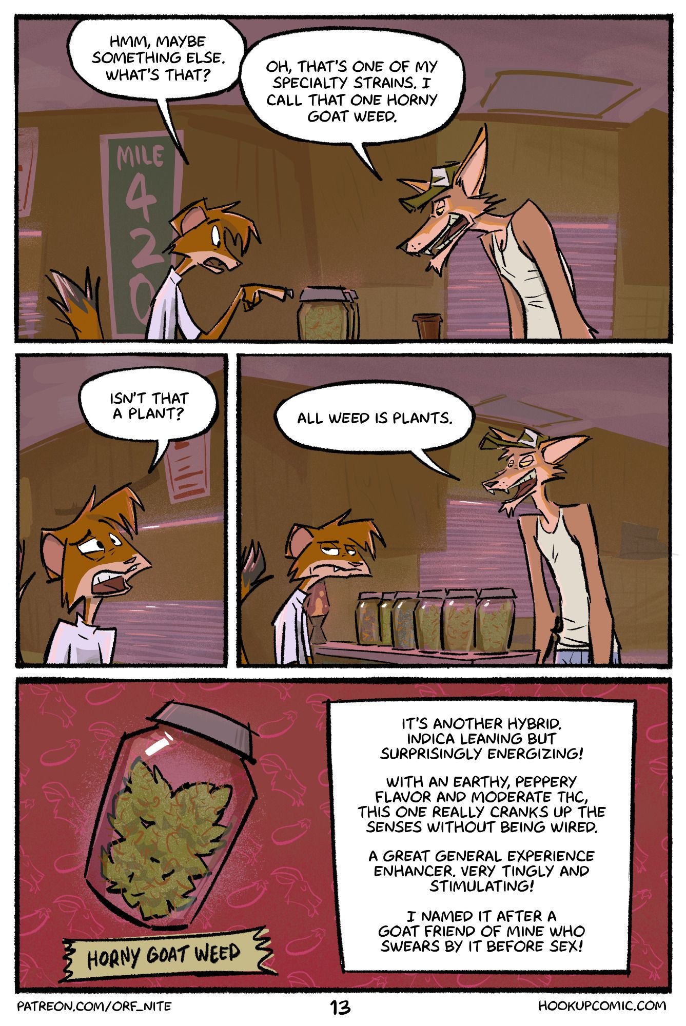 The Hookup (Ongoing) 13