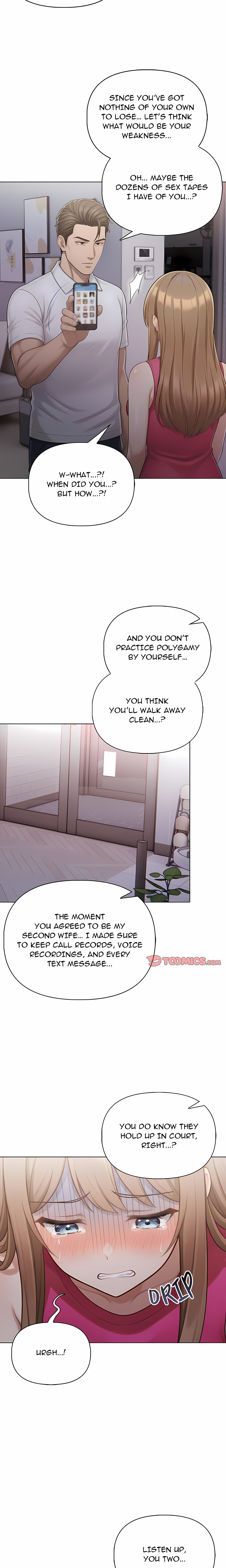 The House of Many Wives 4
