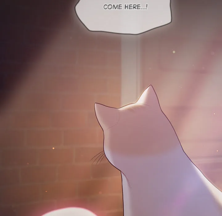 The Love Meowtchmaker 193
