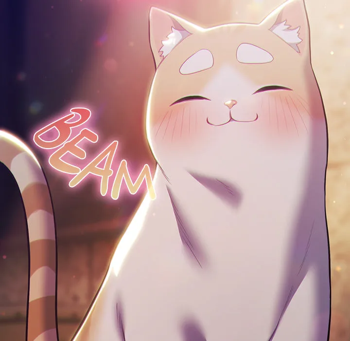 The Love Meowtchmaker 200