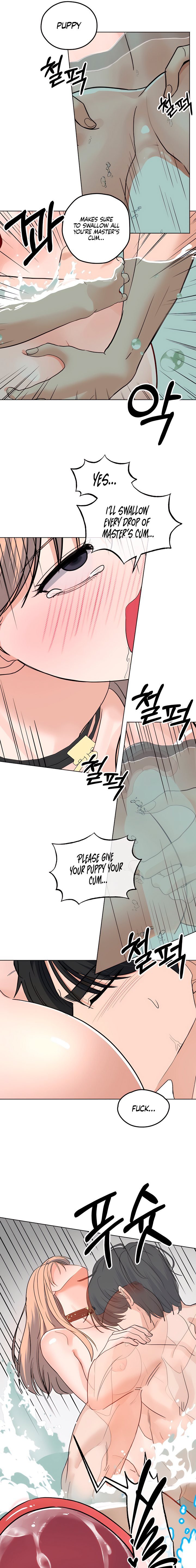 The Man Next Door’s Dog 11