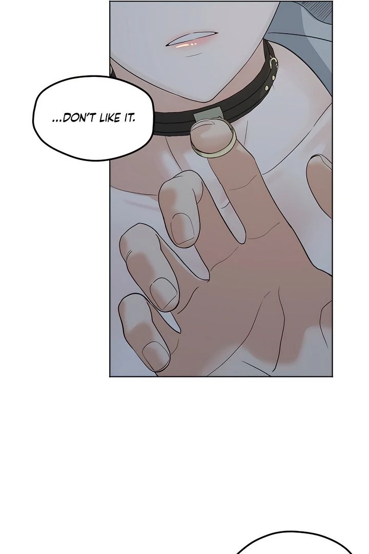 The Man Next Door’s Dog 48