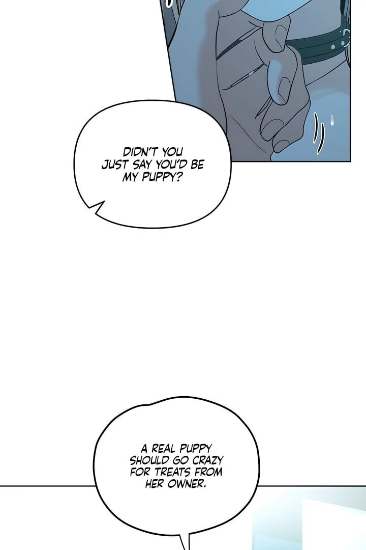 The Man Next Door’s Dog 27