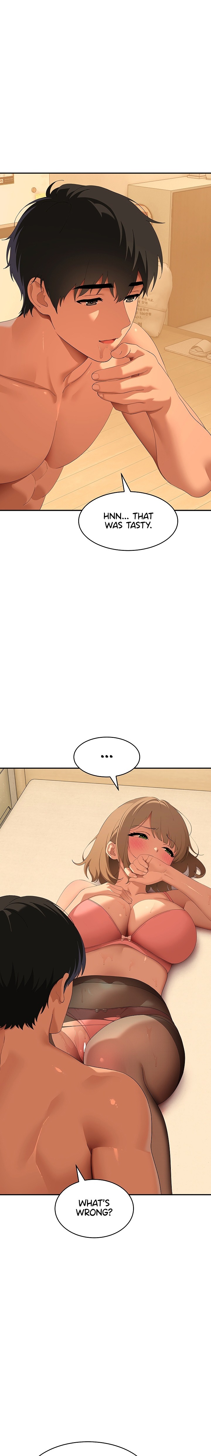 The Meek Cat 14