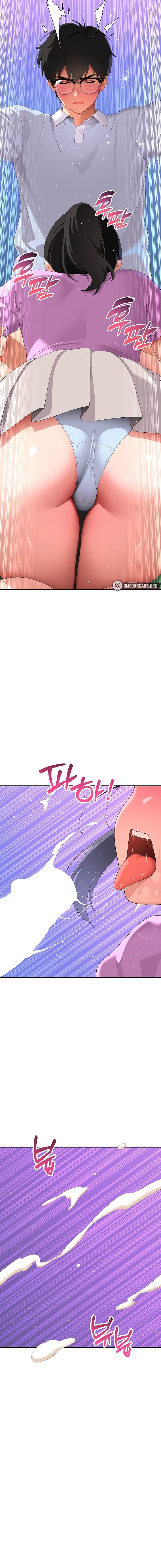 The Meek Cat 14