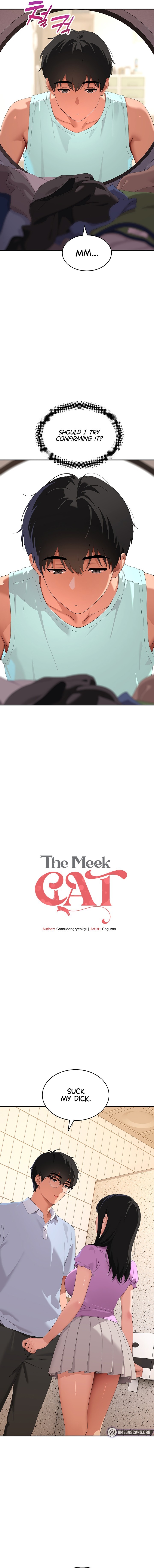 The Meek Cat 5