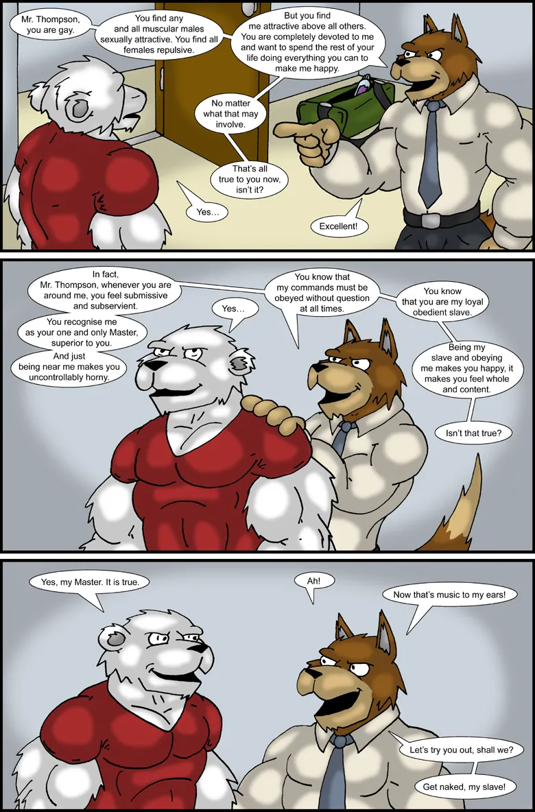 The Muscle House 4