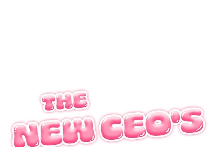 The New CEO’s Management Diaries 1