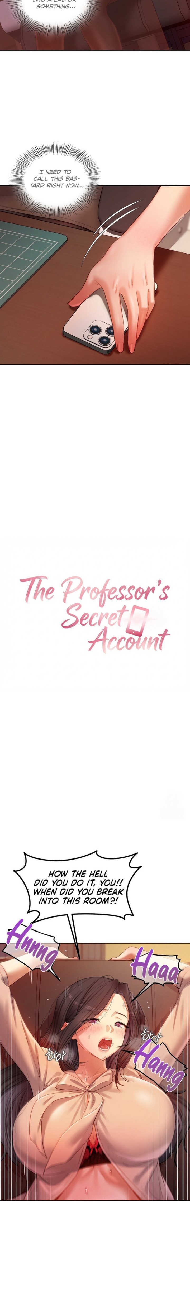 The Professor’s Secret Account 2