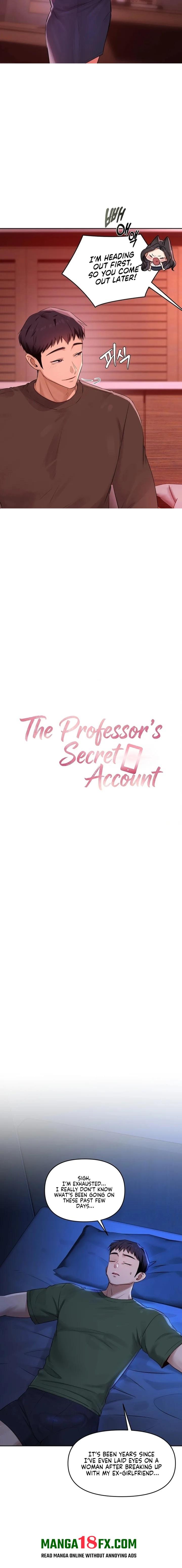 The Professor’s Secret Account 4