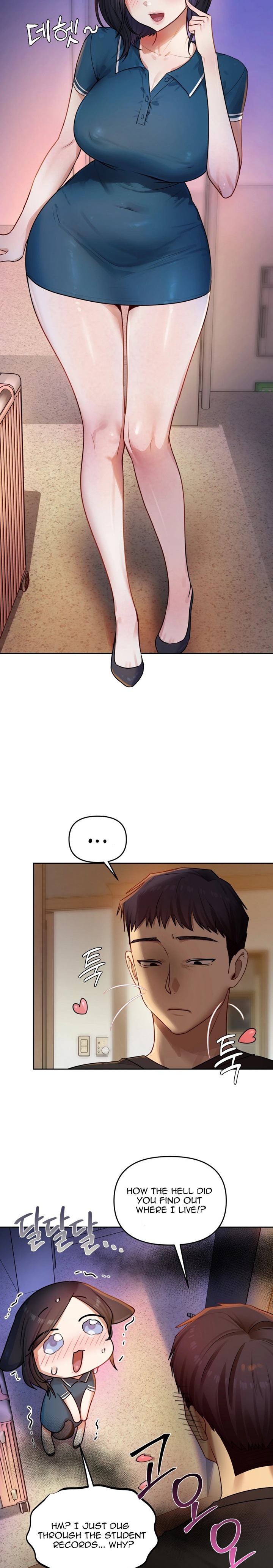 The Professor’s Secret Account 7