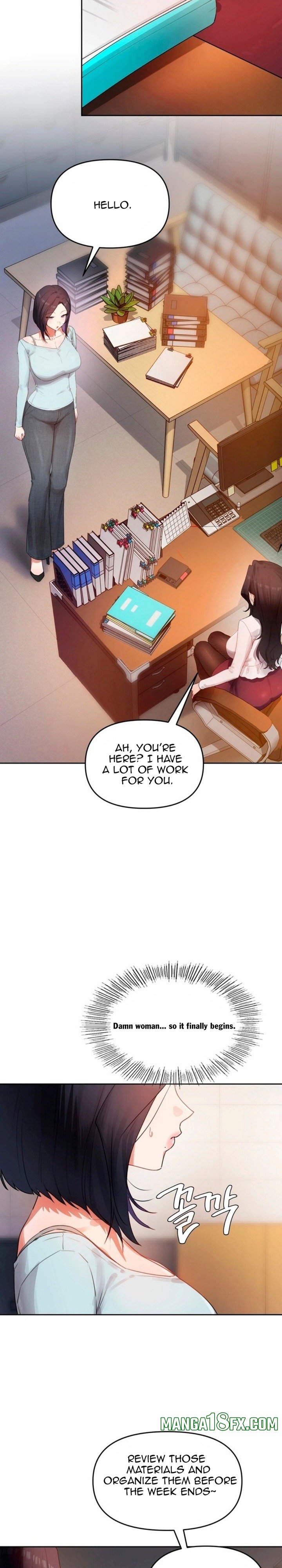 The Professor’s Secret Account 13