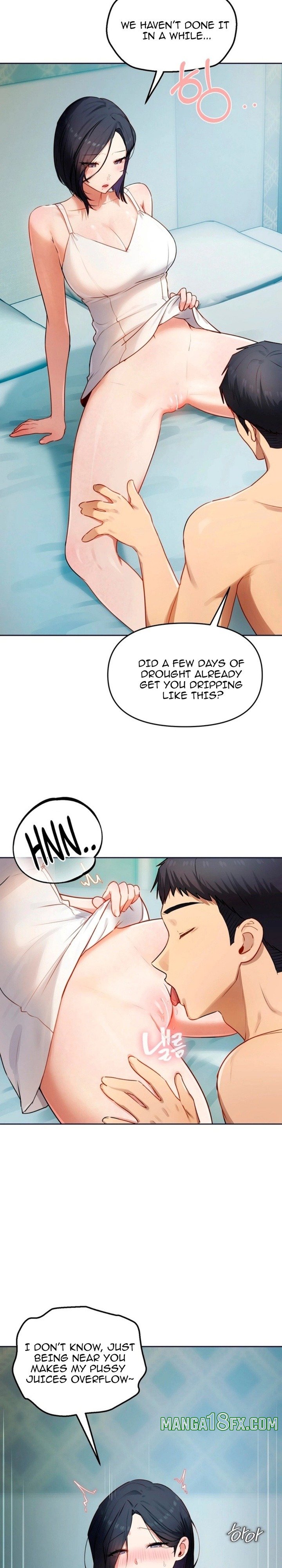 The Professor’s Secret Account 14