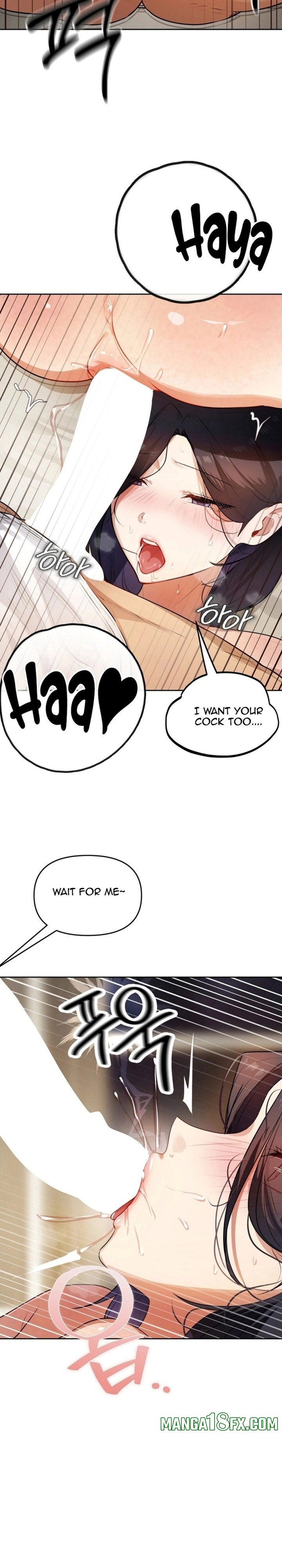 The Professor’s Secret Account 16