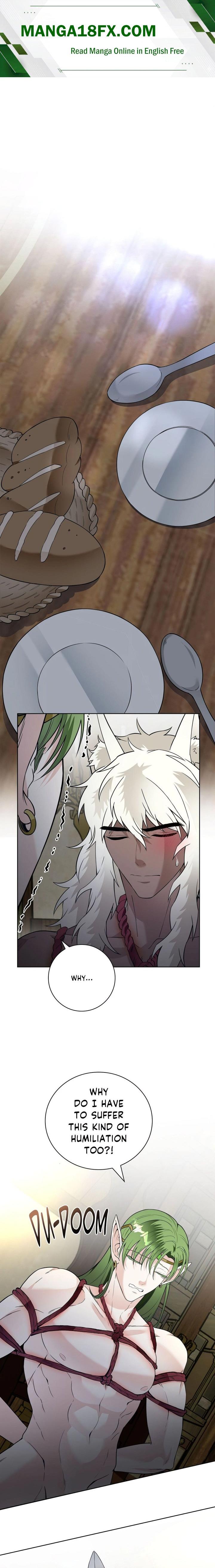 The Saintess’s Petals Are Drenched (Uncensored) 1
