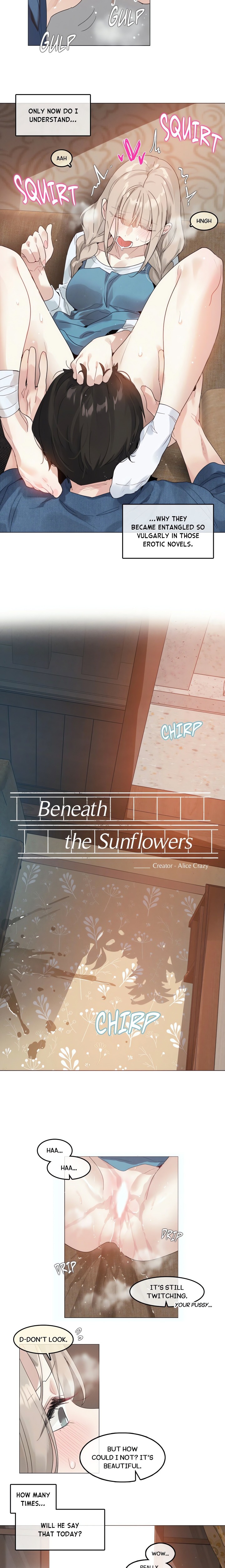 The Season When Sunflowers Whisper 4