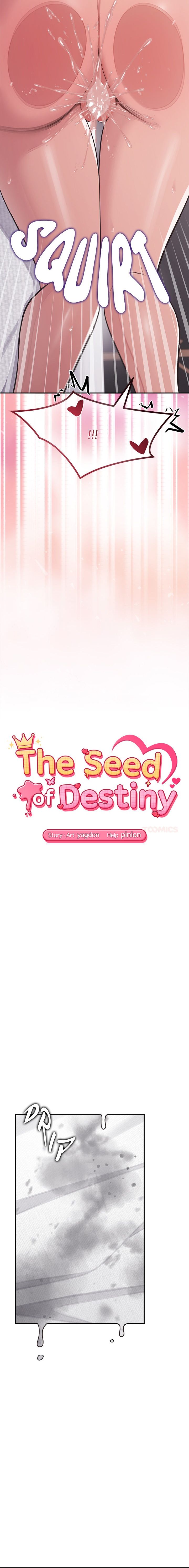 The Seed of Destiny 3