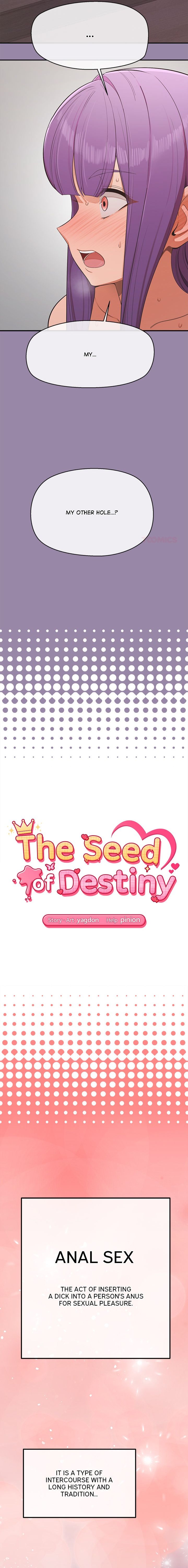 The Seed of Destiny 2