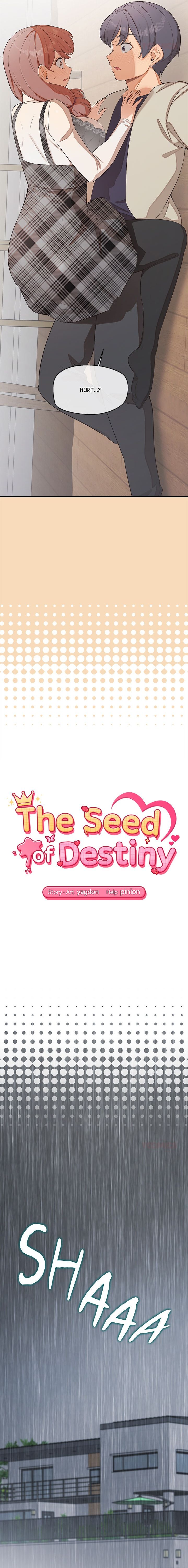 The Seed of Destiny 2