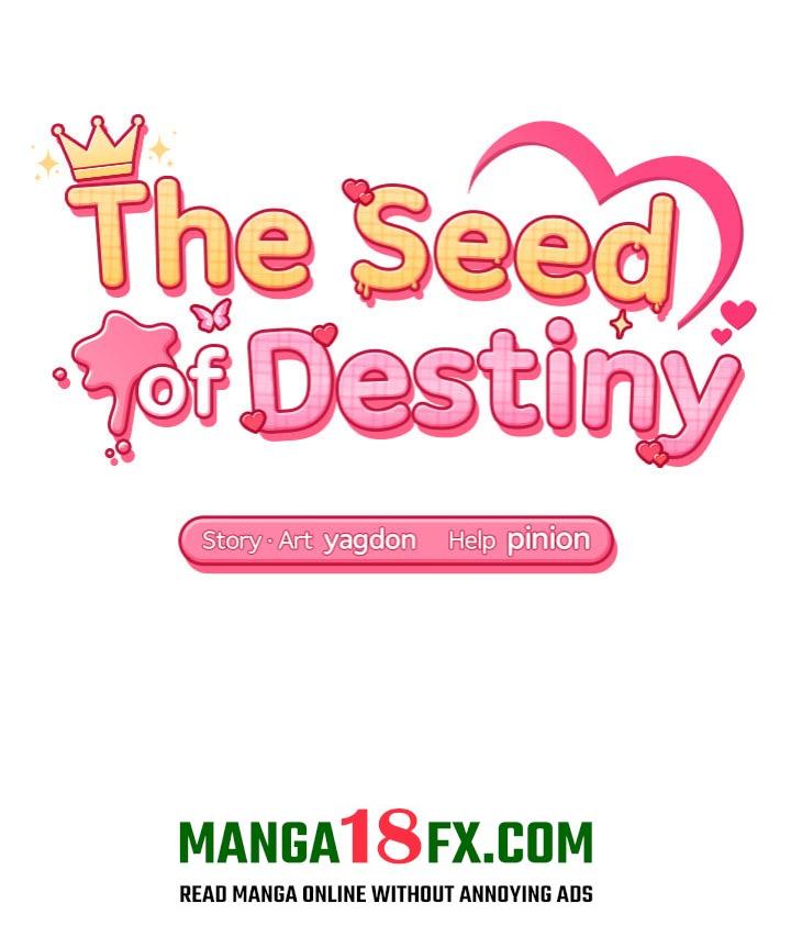The Seed of Destiny 16