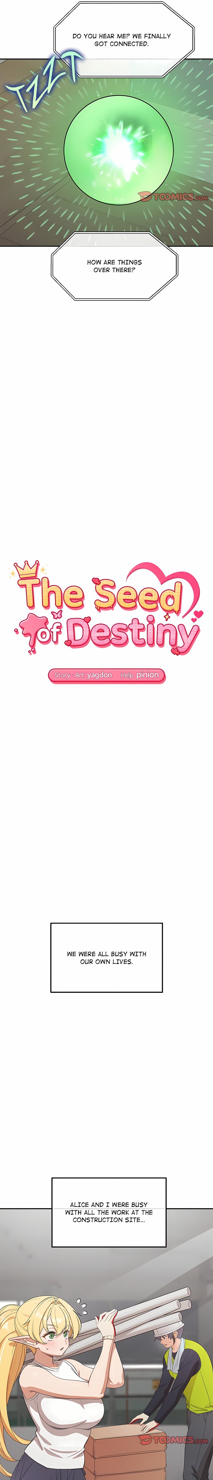 The Seed of Destiny 7