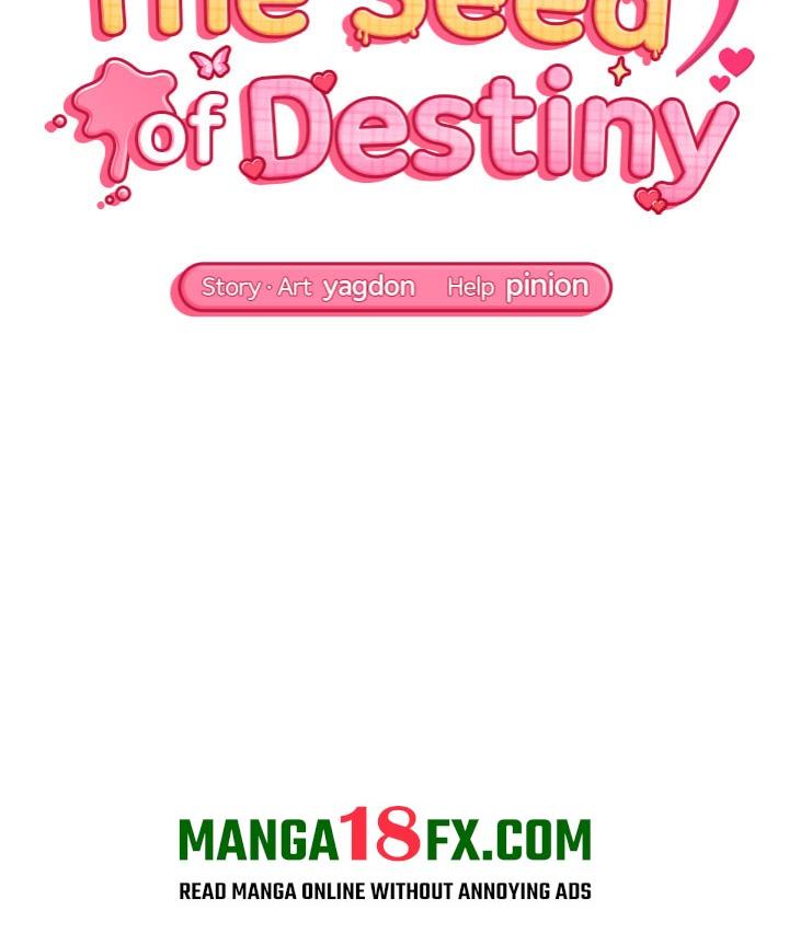 The Seed of Destiny 15