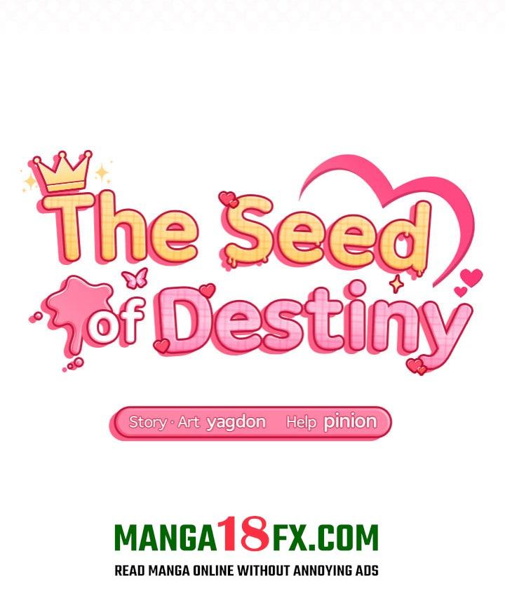 The Seed of Destiny 14