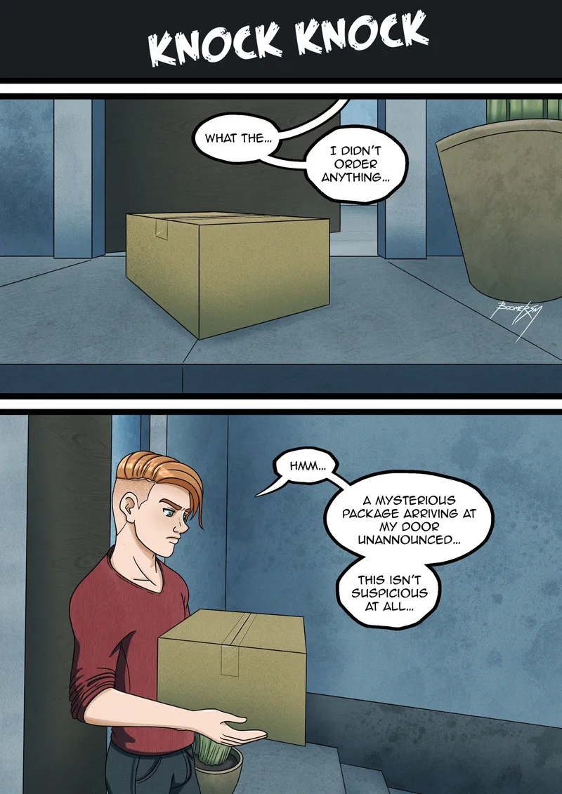 The Surprise Package 1
