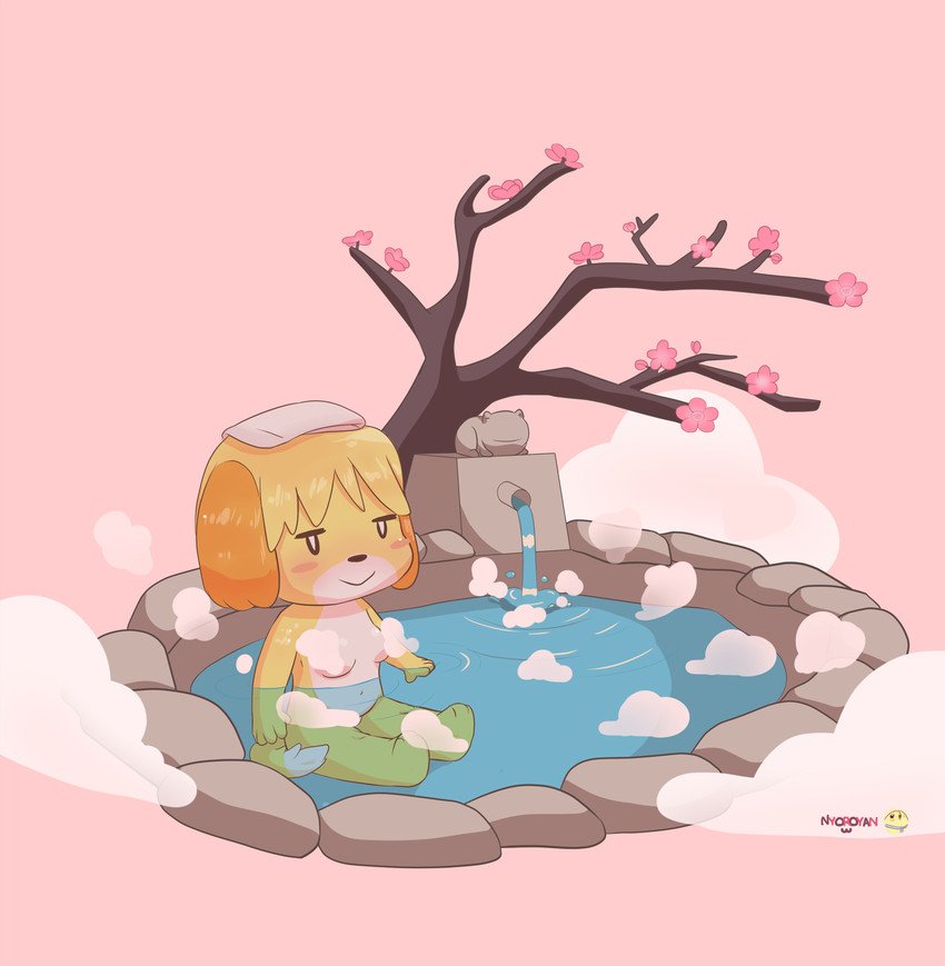 The Thermal Baths of Isabelle 1