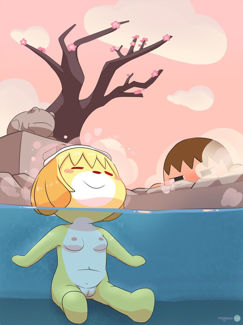 The Thermal Baths of Isabelle 2