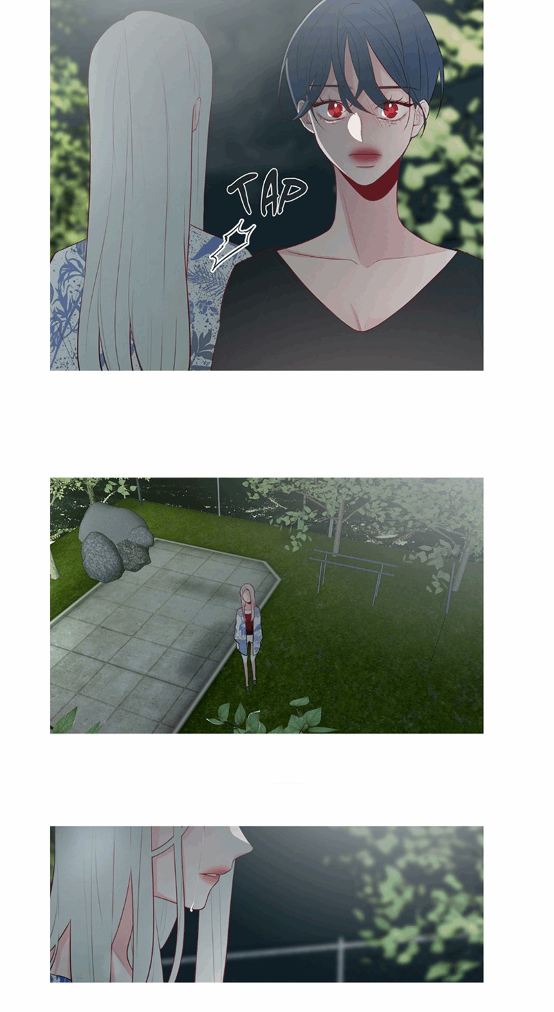 Two Birds In Spring 18