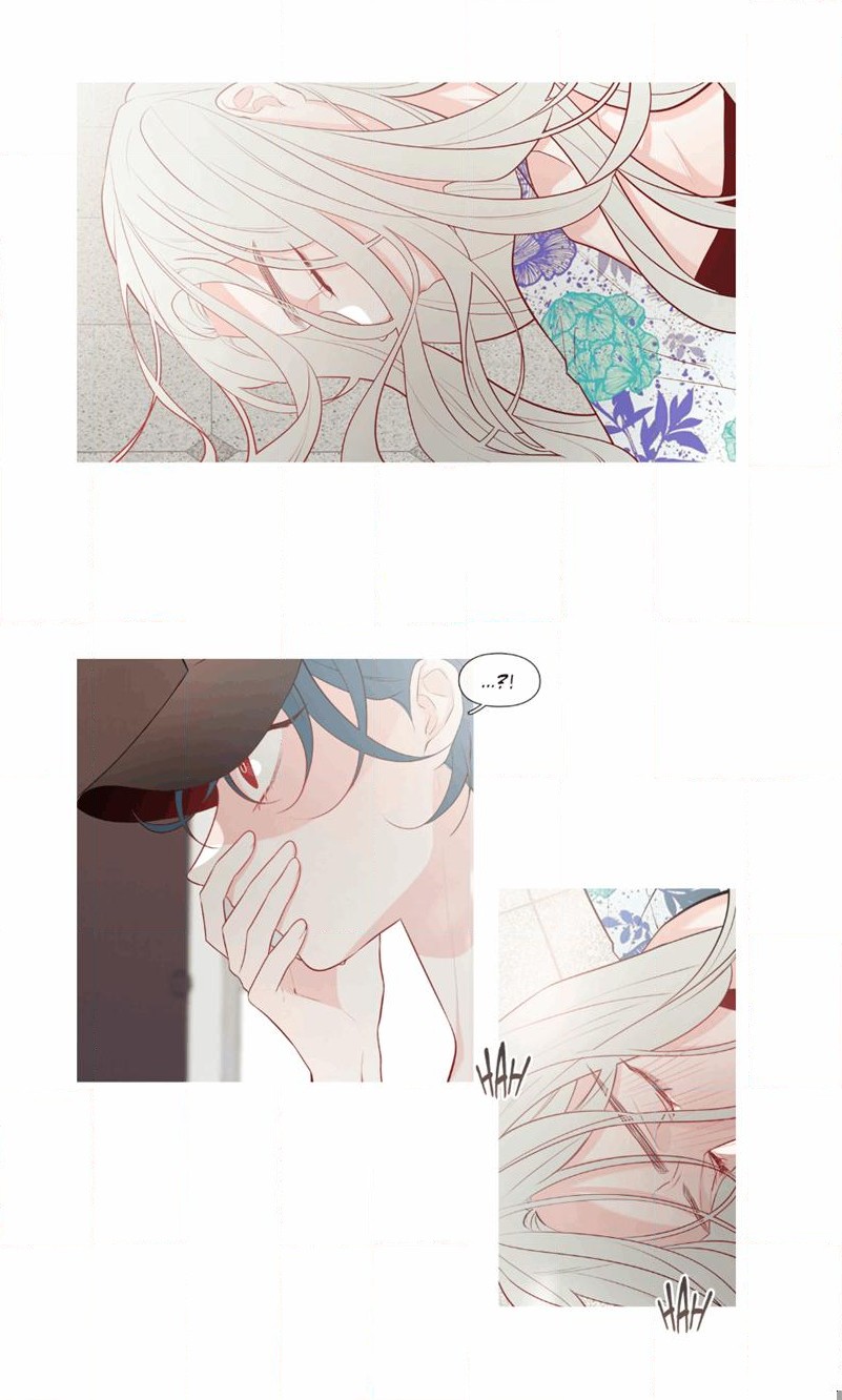 Two Birds In Spring 3