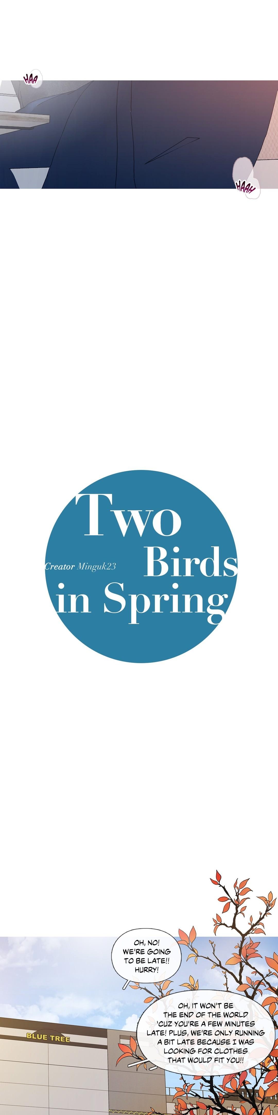 Two Birds In Spring 6