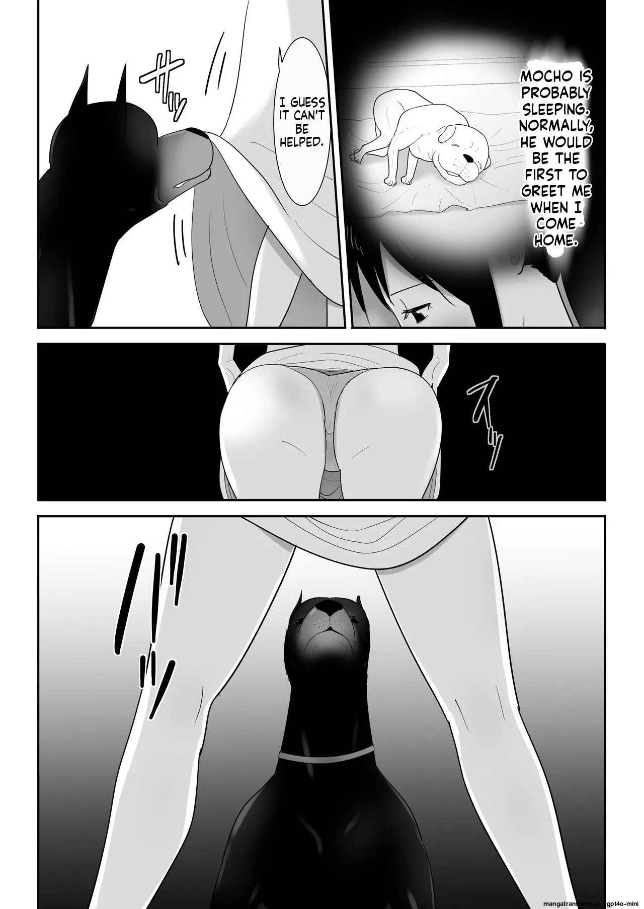 Wagaya ni Inu ga Yattekita (Shuu) 13