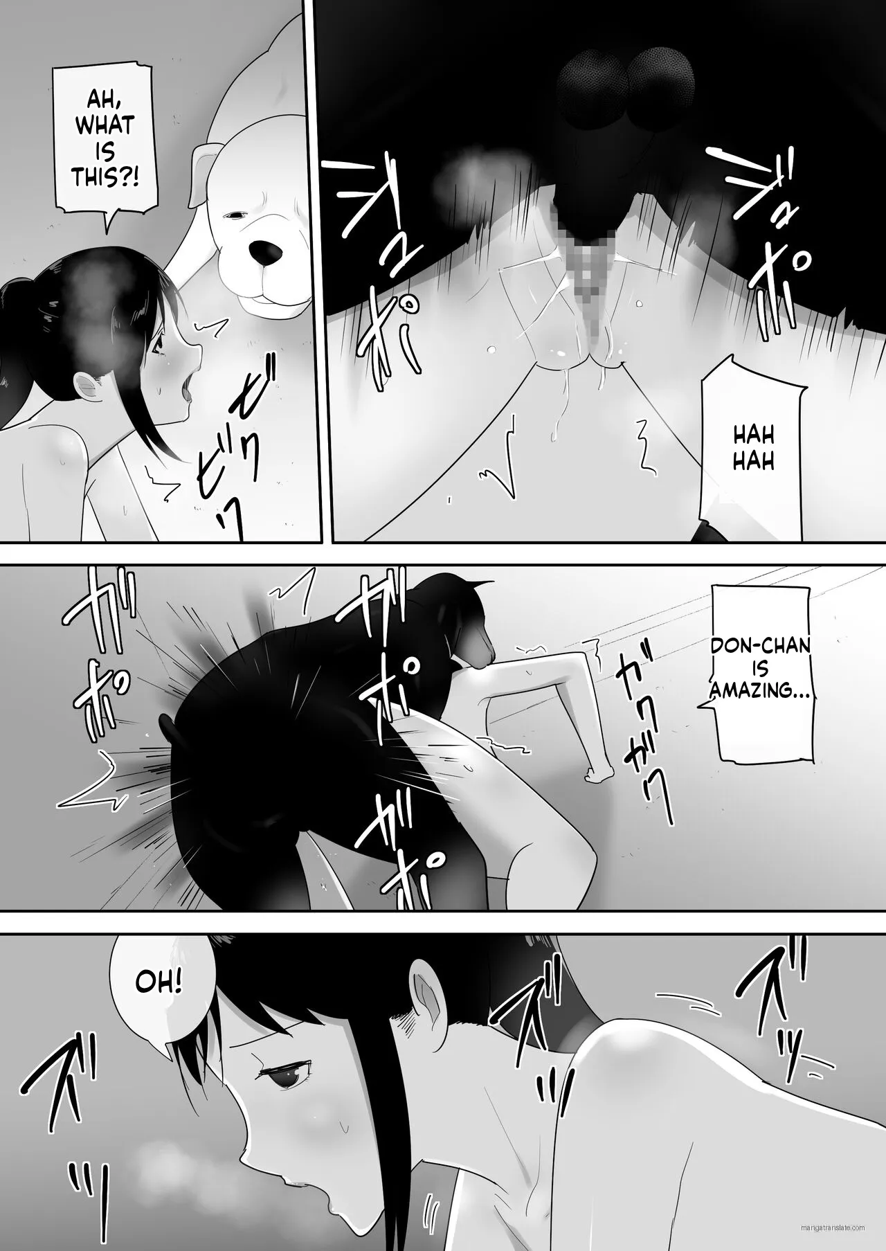 Wagaya ni Inu ga Yattekita (Shuu) 28