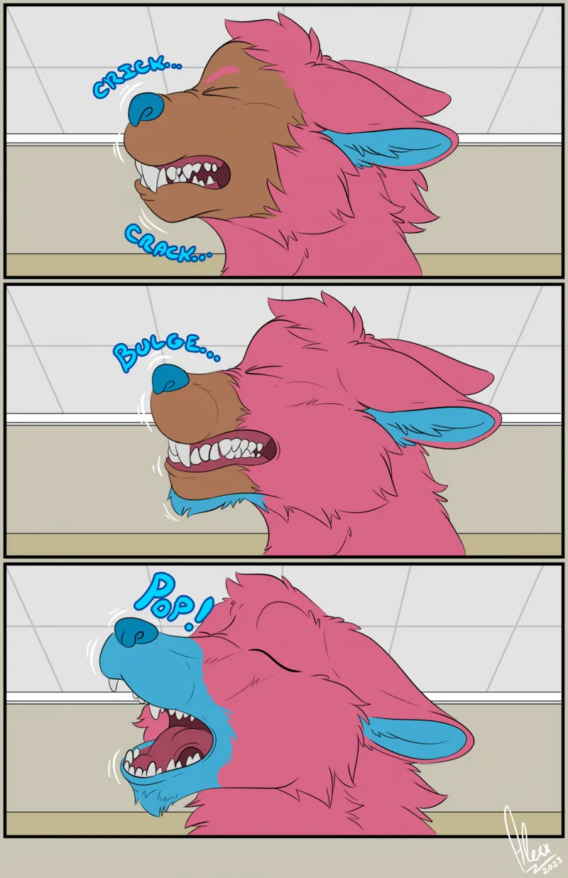 Wuff N Fluff 1 12