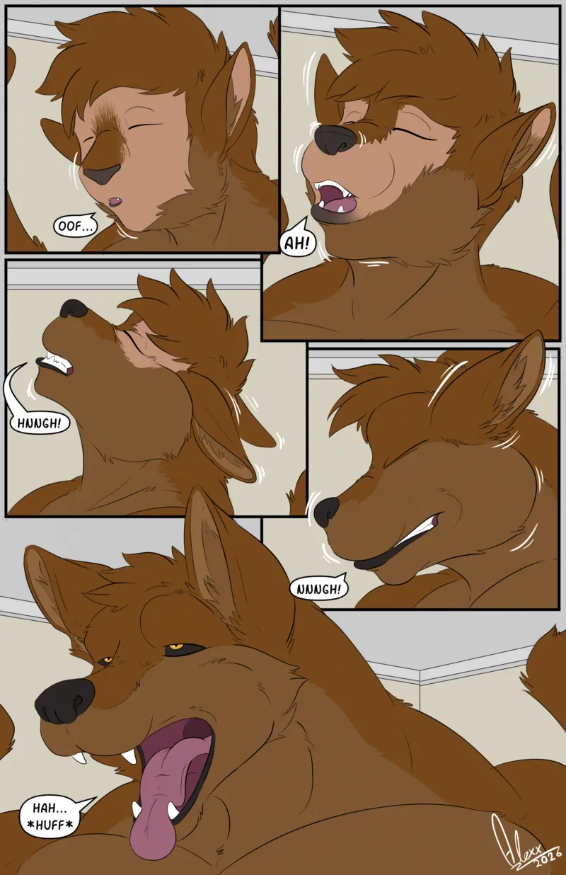 Wuff N Fluff 2 12