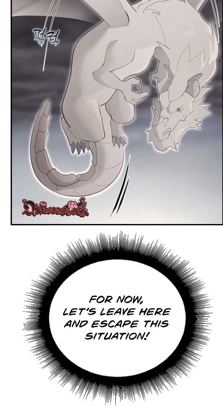 XX Dungeon 52