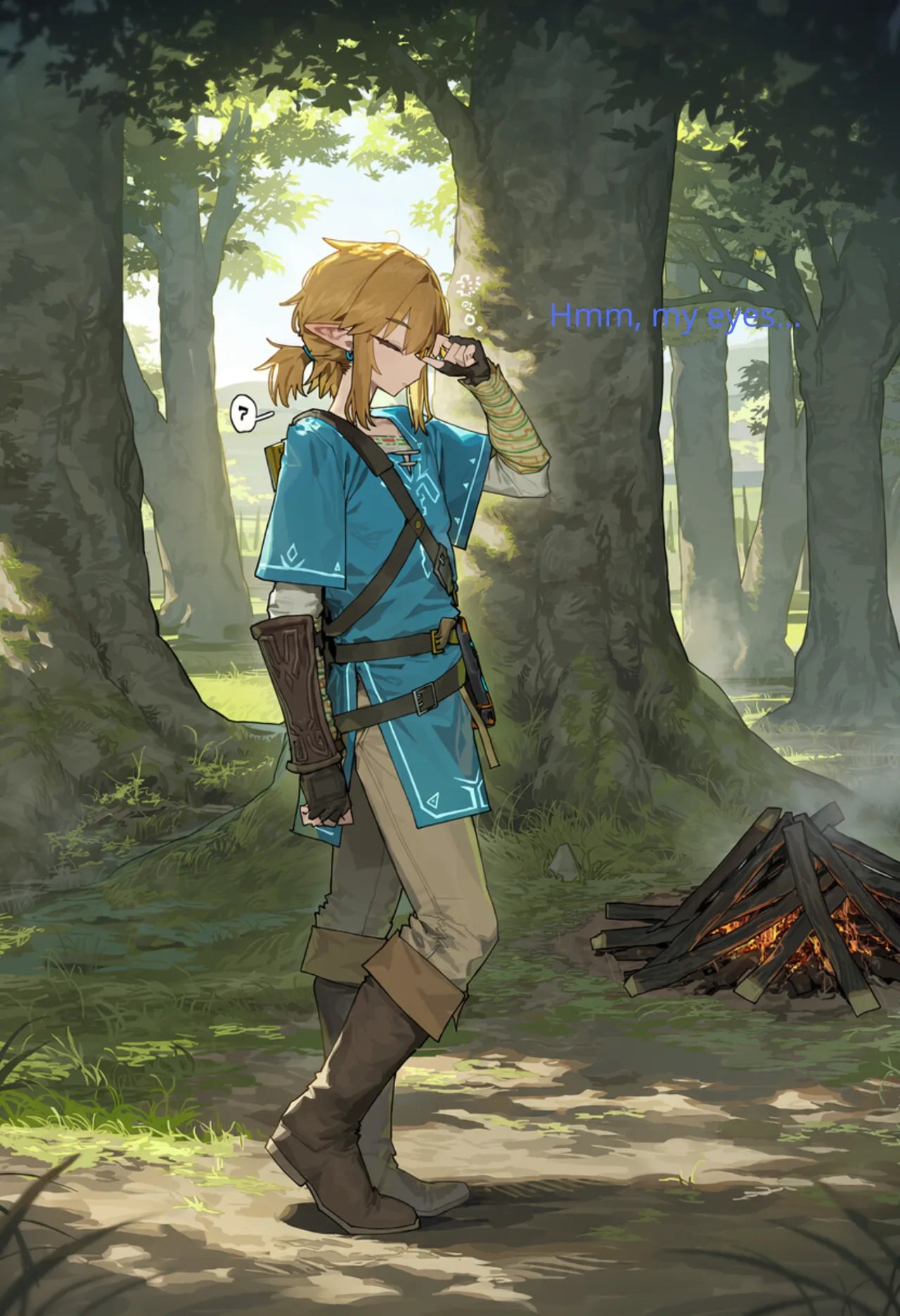 Zelda's New Travelling Companion 11