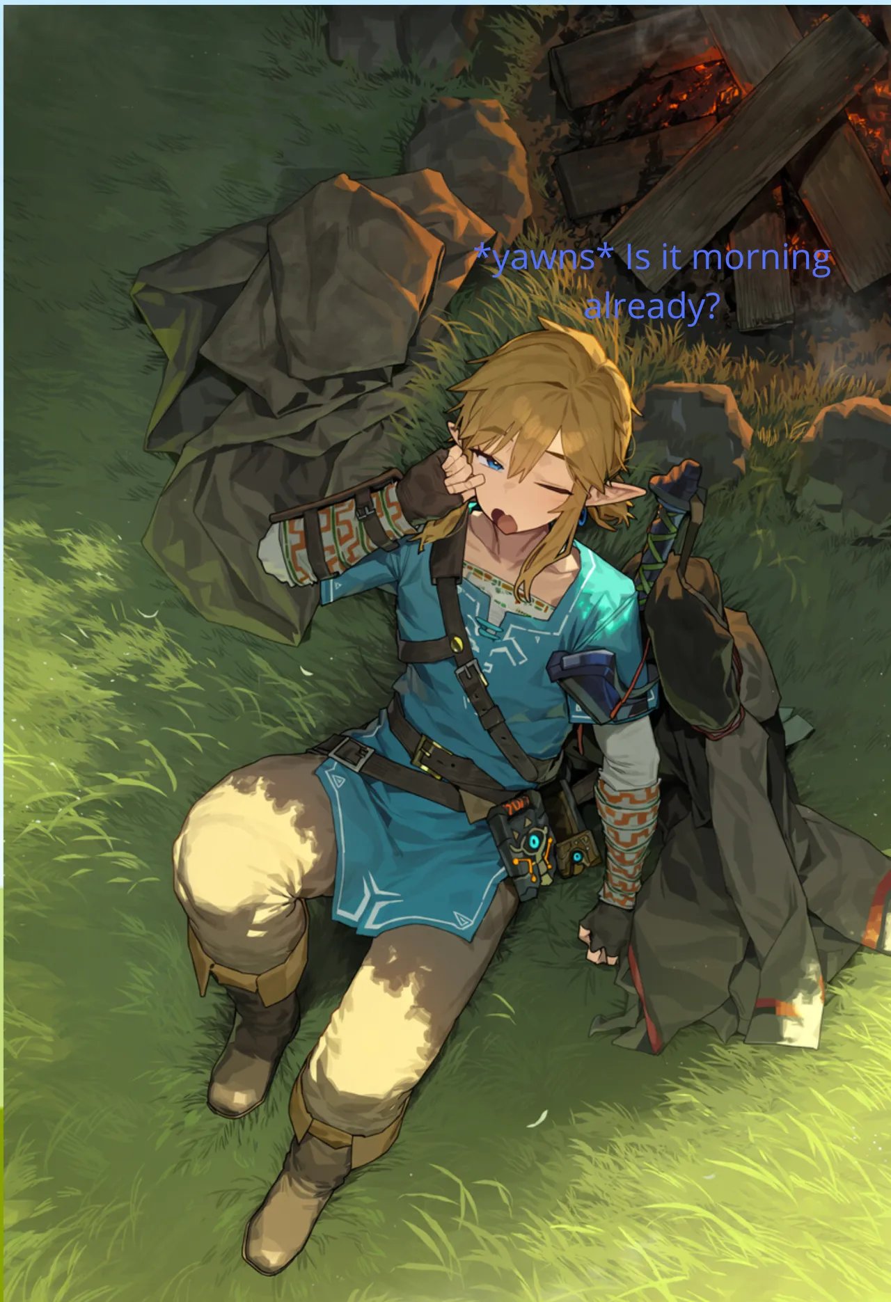 Zelda's New Travelling Companion 10