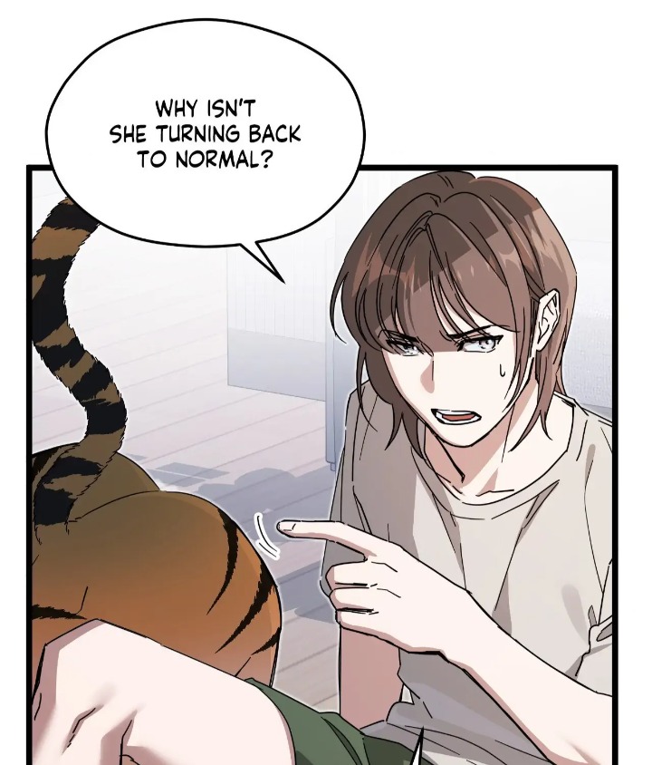 Zoo’s Panic 12
